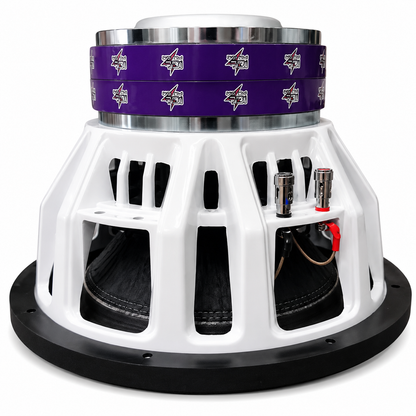 ICE Power IPS-GD12D4 SUBWOOFER 29 500W